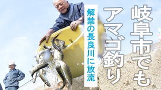 長良川でアマゴ釣りを　岐阜市で３３００匹放流