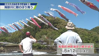 清流海部川に鯉のぼり舞う【テレビトクシマ】