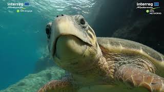 Enjoying and living in harmony with nature - feat. Zakynthos National Marine Park, Greece