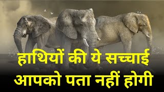 हाथियों की रोचक जानकारी | Elephant Information | Facts About Elephant | Life Of Elephant | Rare fact