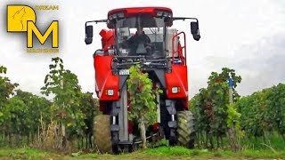 Visiting fascinating grape harvester machine in vineyard 🚜🍷 harvest machine ERO Grapeliner