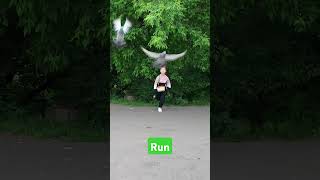 Run, run, run! #run #cool #coolvideo #insta360 #василисарыкова #василисакиса