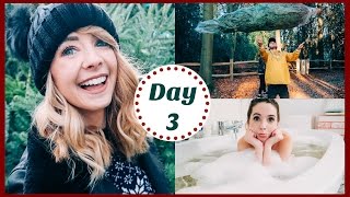 CHRISTMAS TREE SHOPPING | VLOGMAS