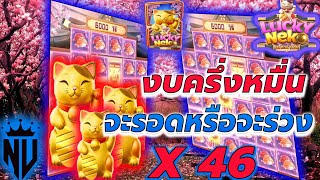 สล็อตPG : Lucky Neko งบครึ่งหมื่น จะรอดหรือจะร่วง X46 สล็อตทุนน้อย