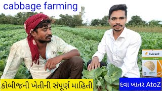 syngenta evicent।કોબીજ નાં પાકની AtoZ માહિતિ । indu seeds। Kishan review