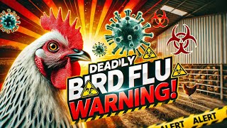 Bird Flu Outbreak: Is the Deadly Virus Making a Comeback?