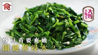 【炒豆苗秘訣】清炒豆苗要爽嫩 老行尊教路：炒前一個鐘最關鍵