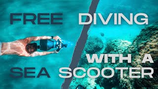 Freediving CRYSTAL CLEAR Blue Water - South FLORIDA - Ep. 57