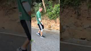 Monkey Snatches Water Bottle From Man While Walking on Road - 1635060