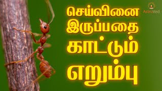 உங்களுக்கு செய்வினை உள்ளதா என்பதை எளிதாக அறிந்துகொள்ள | Seivinai