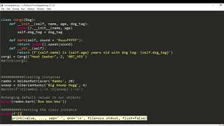 Beginner Object Oriented Programming with Python. Dog class part 4