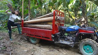 Used 4-wheeled Vehicle Trucks To harvest banana trees in the forest to feed pigs and chickens