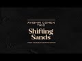 Avishai Cohen Trio - Shifting Sands (from the album 