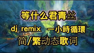 等什么君青丝dj 一小時循環【简体/繁體歌词】♫君不見妾起舞翩翩♫ 等什么君 dj remix Thanh Ti Đẳng Thập Ma Quân 蹦迪神曲 蹦迪 bgm dj中文