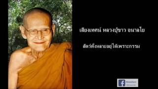 เสียงเทศน์ หลวงปู่ขาว อนาลโย-สัตว์ทั้งหลายอยู่ได้เพราะกรรม