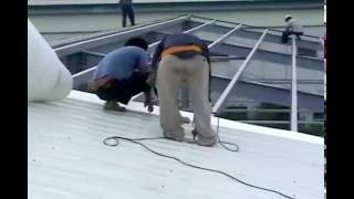 Florex - Roof Insulation - Use COLEX Sheets on the roof of factory