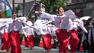 第18回浦和よさこい　浦和それいゆ