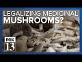 Bill would legalize psilocybin in Utah under strict controls