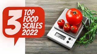Top 3 Best Food Scales of 2022 - Best Food Scale for Counting Macros