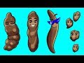 Download 12 Things Your Stool Says About Your Health In Mp4 3Gp Full HD Video