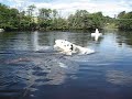 healey boats