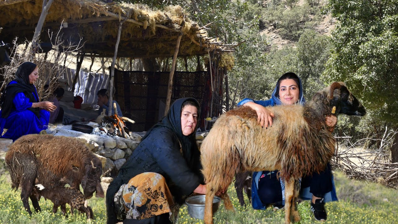 Ladynomad On The Road To Nowhere The Henry Ford Museum