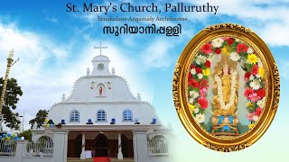 വിശുദ്ധ കുർബാന 16-01-25  | Holy Mass   |  St:Mary's Church Palluruthy