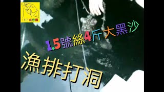 1.5號絲漁排打洞搞條4斤幾大黑沙，條魚穿州過省