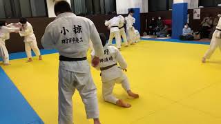 judo    柔道　乱取