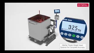 Syspal Pneumatic 350kg Weighscale