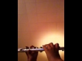 Titanium flute cover