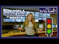 How does a Traffic Light work? 🚦 Maddie's Do You Know 👩
