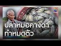 uncut วิกฤต “ปลาหมอคางดำ” บุกไทย “สส.กาย” ท้าชนบริษัติเอกชน i คนดังนั่งเคลียร์ l 31 ก.ค.67