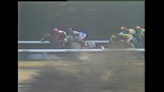 白嶺ステークス 1600万下 （1998/1/31・東京） ヤクモレインボー