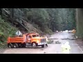 giant redwoods torn down by mudslide in northern california truthloader