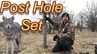 Fence Post Hole Set for Coyote and Fox Complete Process