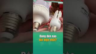 Bóng đèn LED, bóng đèn Halogen, bóng đèn compact CFL và bóng đèn sợi đốt, đâu là loại tốn điện nhất?