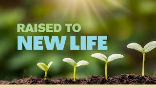 Raised to New Life