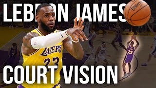 LeBron James Court Vision
