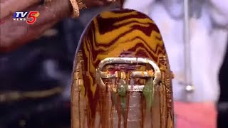 మహాద్భుతం! | Lord Shiva Abhishekam Visuals | Shiva Parvathi Kalyanam 2024 | TV5 News