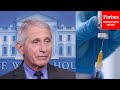 Fauci Explains How Much 3rd Shot Of Covid Vaccine Can Boost Immune Response