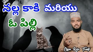 నల్ల కాకి మరియు ఓ పిల్లి || Islamic Telugu Bayan By - Ehsan Raza Tousifi