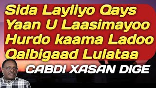 cabdi xasan dige layla iyo qays | sida layla \u0026 qays kaban |  cabdi xasan dige layla iyo qays lyrics