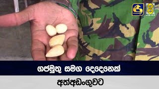 ගජමුතු සමග දෙදෙනෙක් අත්අඩංගුවට