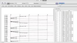 netanim 3 105 summary