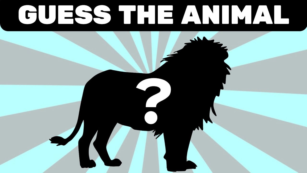 Guess The Animal By Shadow Youtube