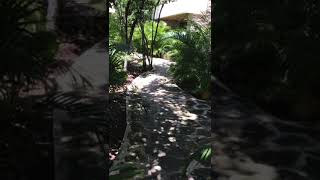 Session Fifth Element Spa in Copal Hotel Tulum 2020
