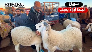 اليوم من سوق الجمعة أولاد يعيش إقليم بني ملال 21/2/25 مع تمن🐑🐑فرجة ممتعة