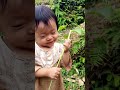 Single mother feeds her children in the forest to survive...🏞🏞 #cute