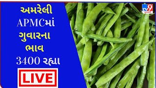 અમરેલી  (દામનગર ) APMCમાં ગુવારના મહત્તમ ભાવ 3400 રહ્યા  જાણો જુદા-જુદા શાકભાજીના ભાવ |TV9NEWS